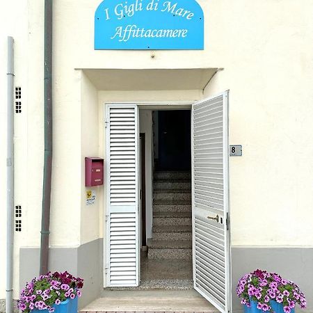 Affittacamere I Gigli Di Mare Marina Di Bibbona Eksteriør bilde